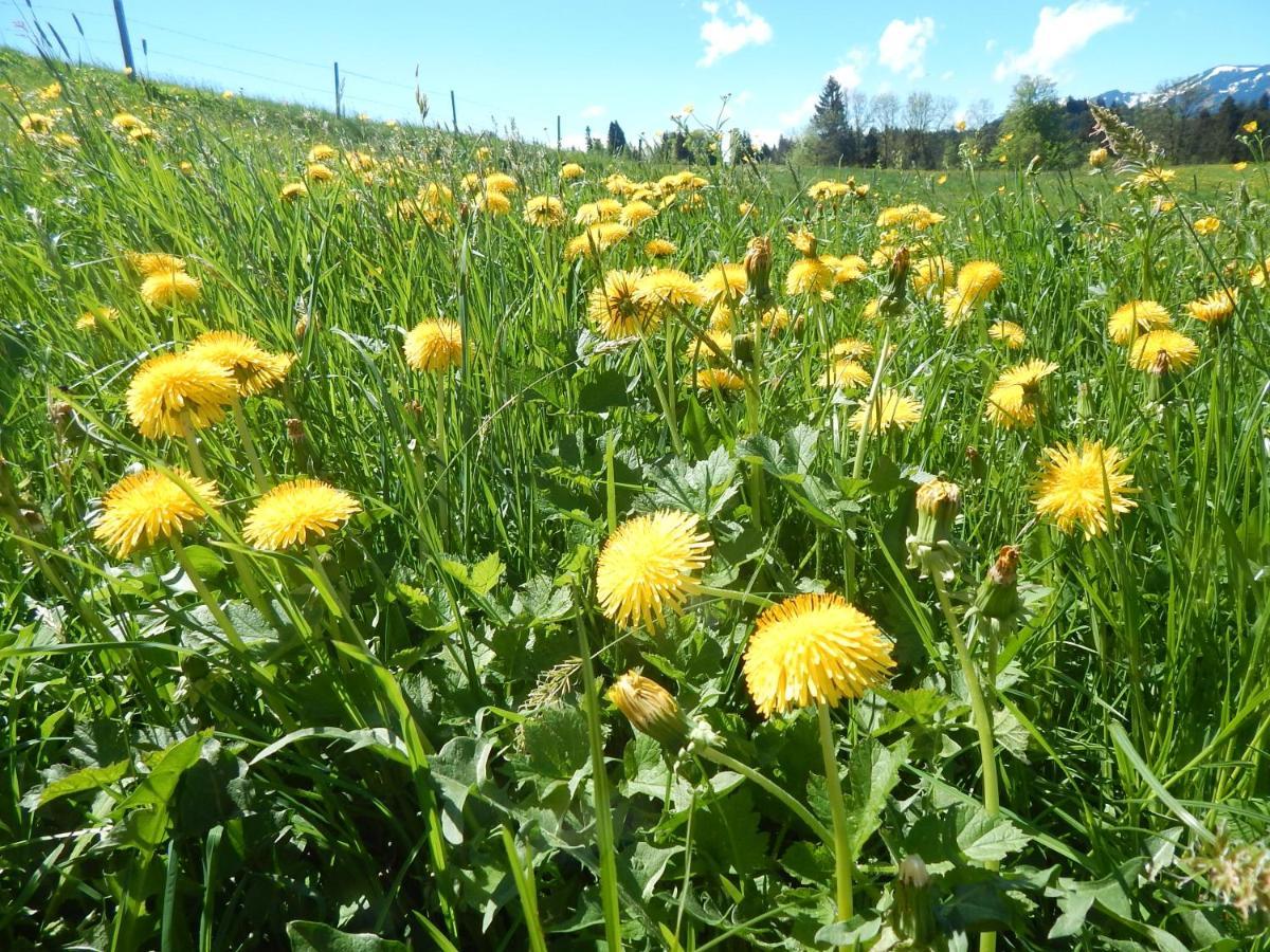 Berggasthof Sonne Allgaeu 松托芬 外观 照片
