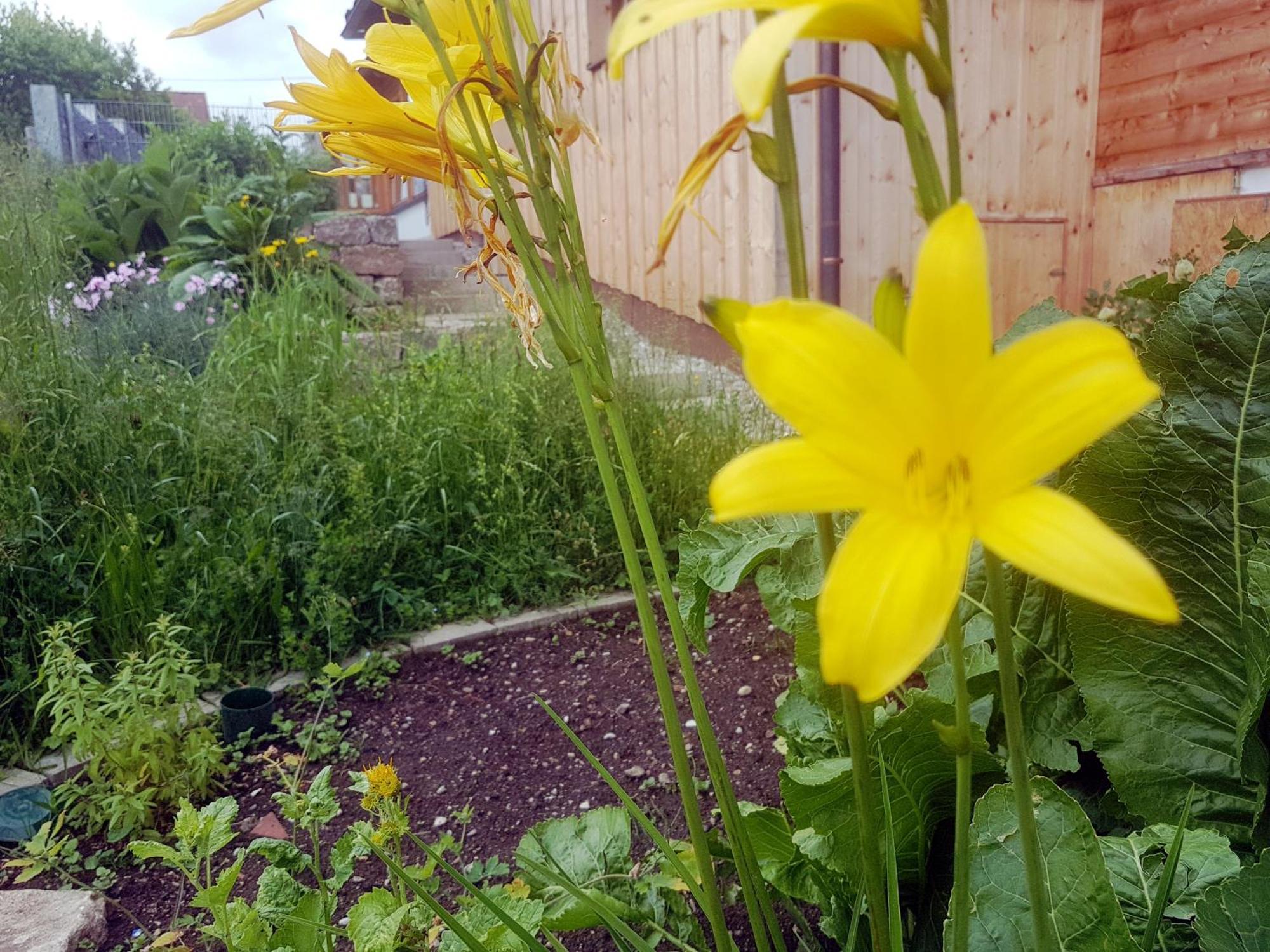Berggasthof Sonne Allgaeu 松托芬 外观 照片